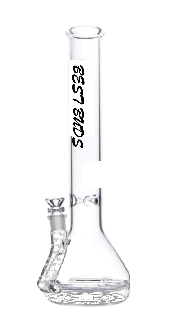 SOHI - Circle Perc Beaker Sample v2 - Image 2